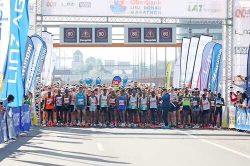 Start beim Oberbank Linz Marathon 2024 (C) Oberbank Linz Marathon